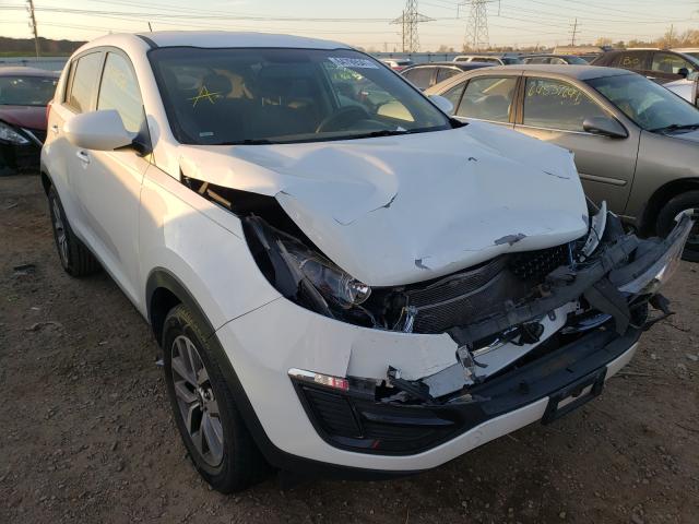 KIA SPORTAGE B 2014 kndpb3ac9e7636319