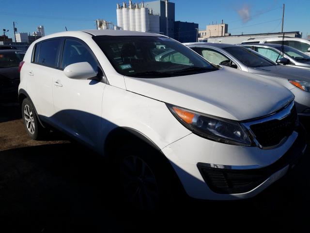 KIA SPORTAGE L 2016 kndpb3ac9g7856739