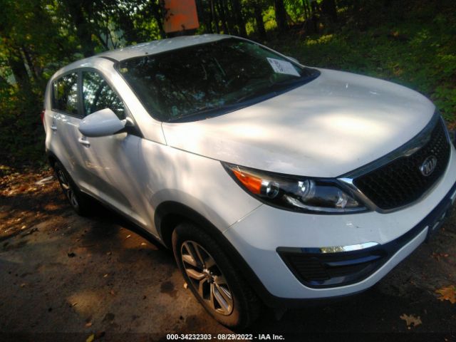 KIA SPORTAGE 2014 kndpb3acxe7666977