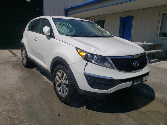 KIA SPORTAGE B 2014 kndpb3acxe7668907