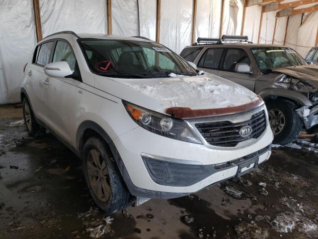 KIA SPORTAGE L 2011 kndpbca20b7035657