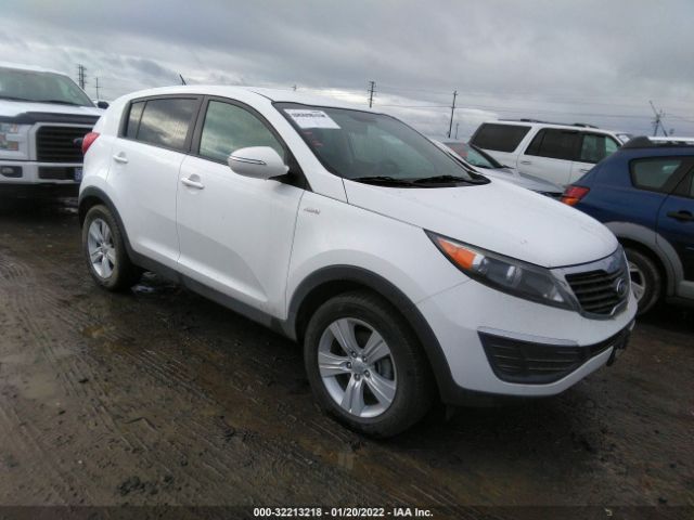 KIA SPORTAGE 2012 kndpbca20c7242065