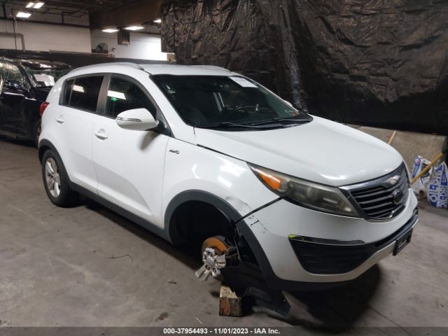 KIA SPORTAGE 2012 kndpbca20c7281397