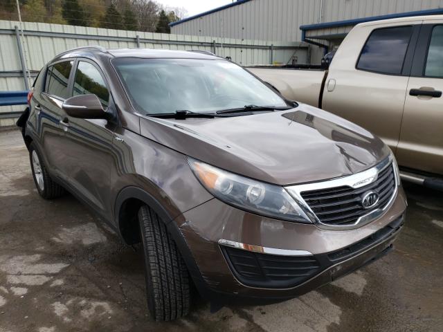 KIA SPORTAGE L 2011 kndpbca21b7041760