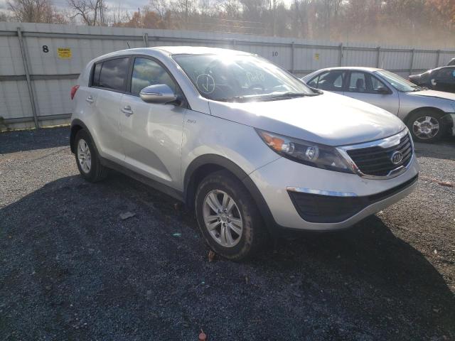 KIA SPORTAGE 2010 kndpbca21b7100211