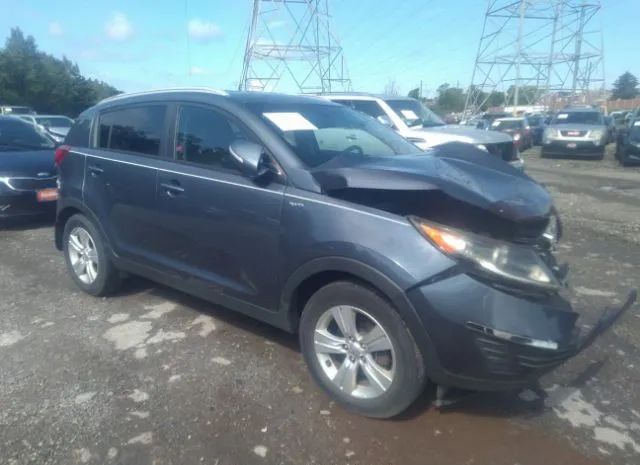 KIA SPORTAGE 2013 kndpbca21d7459559