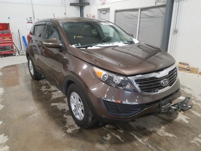 KIA SPORTAGE L 2011 kndpbca22b7019329