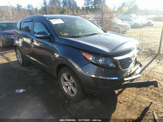 KIA SPORTAGE 2011 kndpbca22b7141799