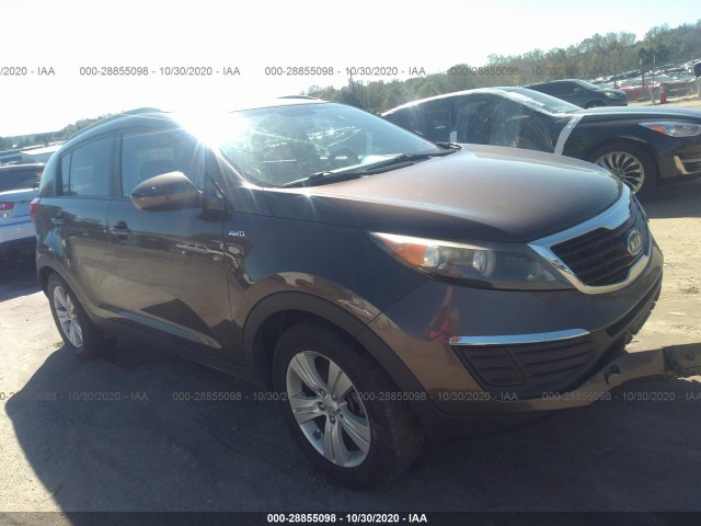 KIA SPORTAGE 2012 kndpbca22c7251608