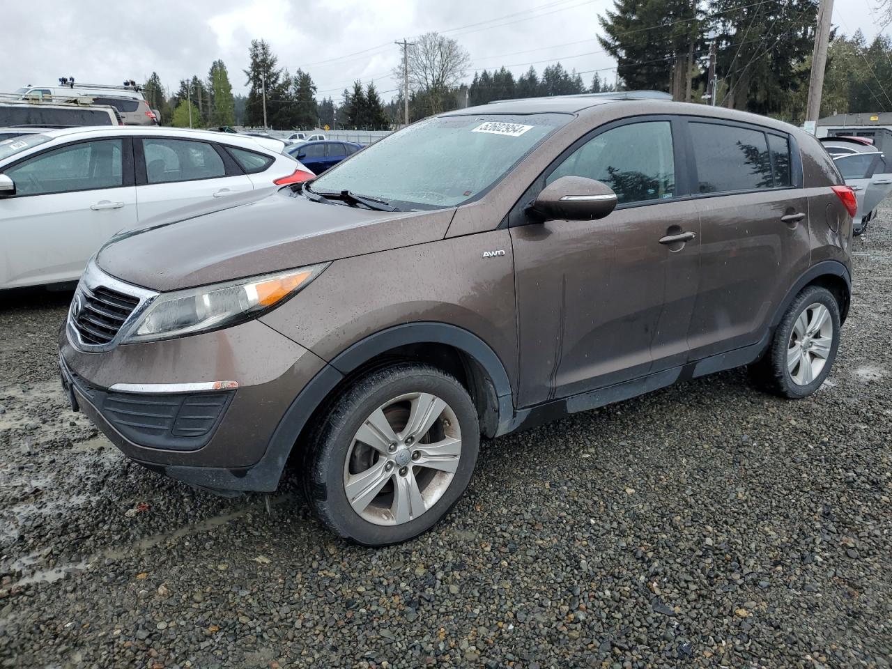 KIA SPORTAGE 2013 kndpbca22d7354948