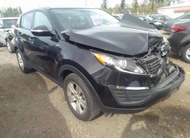 KIA SPORTAGE 2013 kndpbca22d7459554