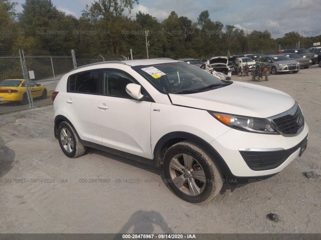 KIA SPORTAGE 2013 kndpbca22d7538450