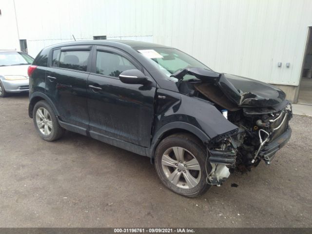 KIA SPORTAGE 2013 kndpbca23d7510432