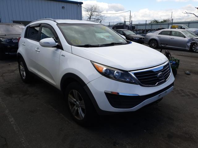 KIA SPORTAGE 2011 kndpbca24b7061890