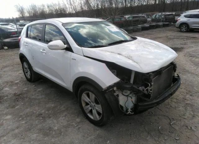 KIA SPORTAGE 2013 kndpbca24d7408654