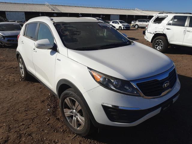 KIA SPORTAGE 2013 kndpbca24d7469468