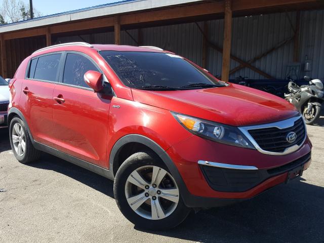 KIA SPORTAGE L 2011 kndpbca25b7130344