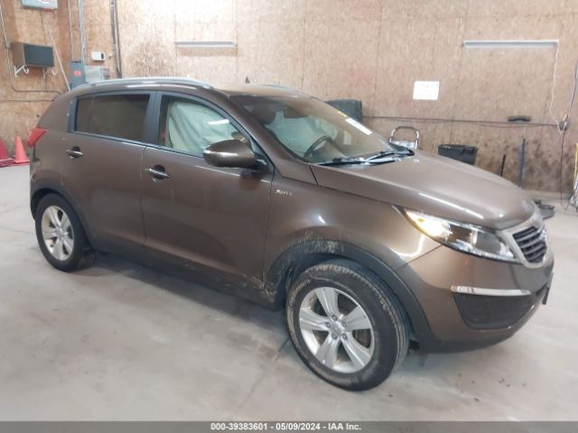 KIA SPORTAGE 2013 kndpbca25d7502073