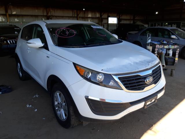 KIA SPORTAGE L 2011 kndpbca26b7078920