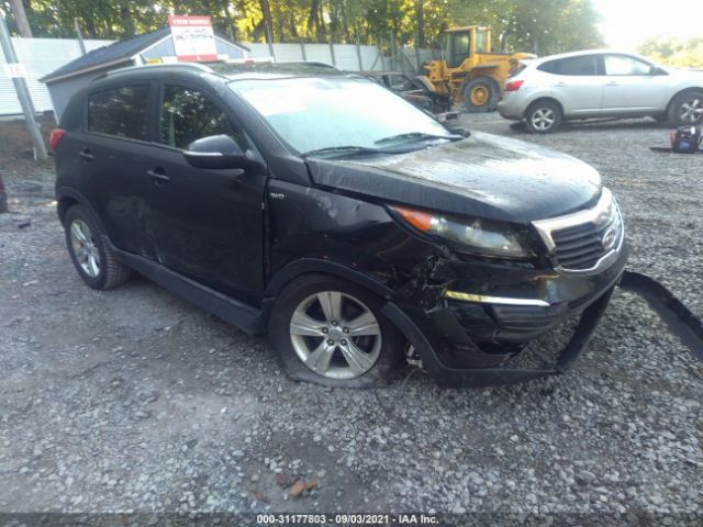 KIA SPORTAGE 2011 kndpbca26b7095037