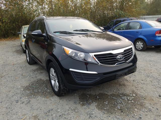 KIA SPORTAGE L 2011 kndpbca26b7101662