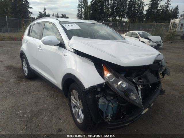 KIA SPORTAGE 2012 kndpbca26c7284272