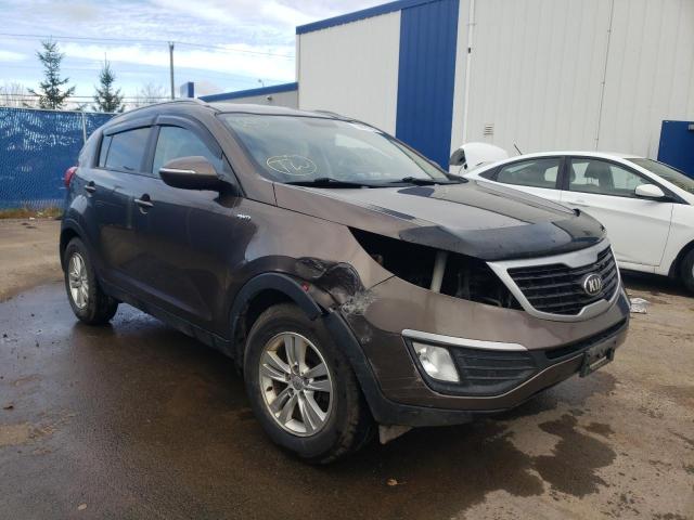 KIA SPORTAGE L 2013 kndpbca26d7378590