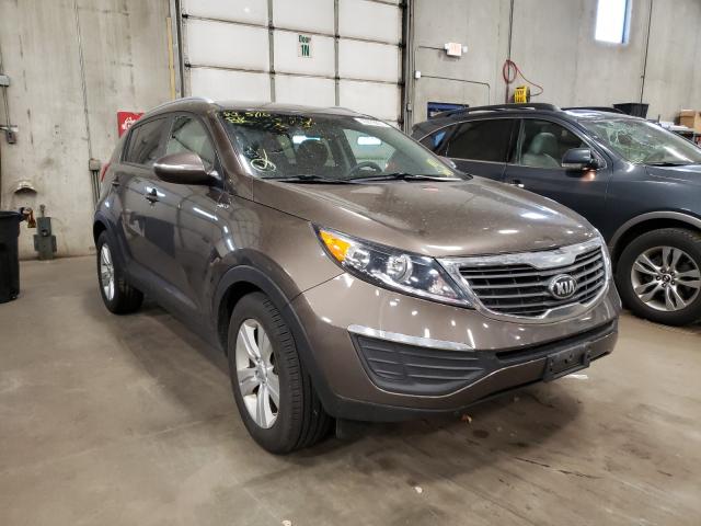 KIA SPORTAGE 2013 kndpbca26d7442448