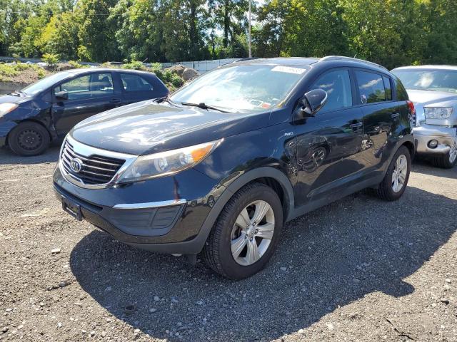 KIA SPORTAGE L 2011 kndpbca27b7088288