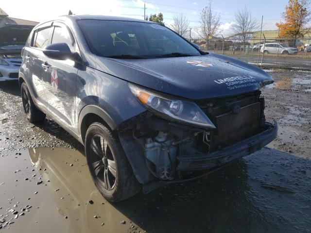 KIA SPORTAGE 2013 kndpbca27d7355805