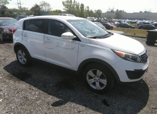 KIA SPORTAGE 2013 kndpbca27d7498009