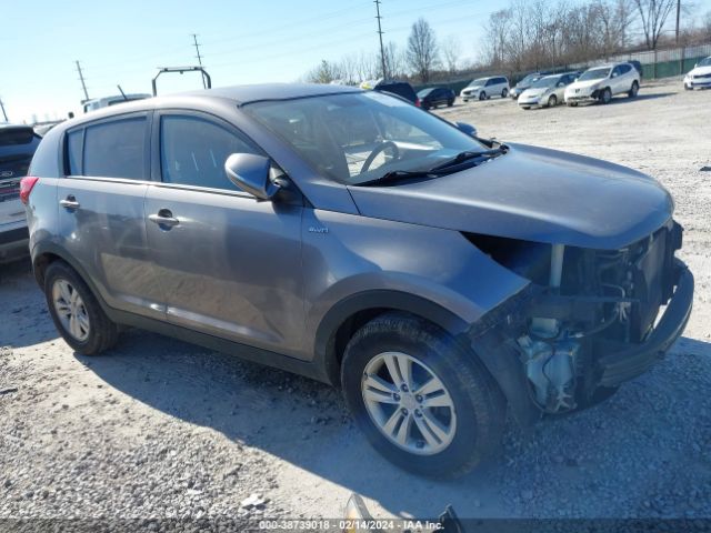 KIA SPORTAGE 2011 kndpbca28b7014247