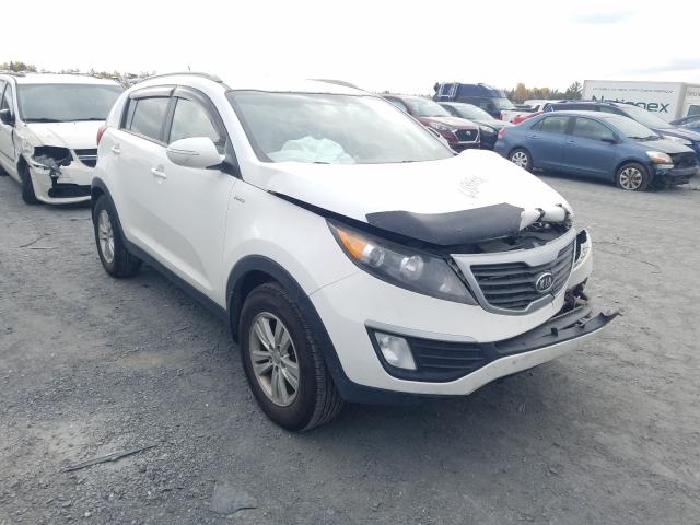 KIA SPORTAGE L 2011 kndpbca28b7105132