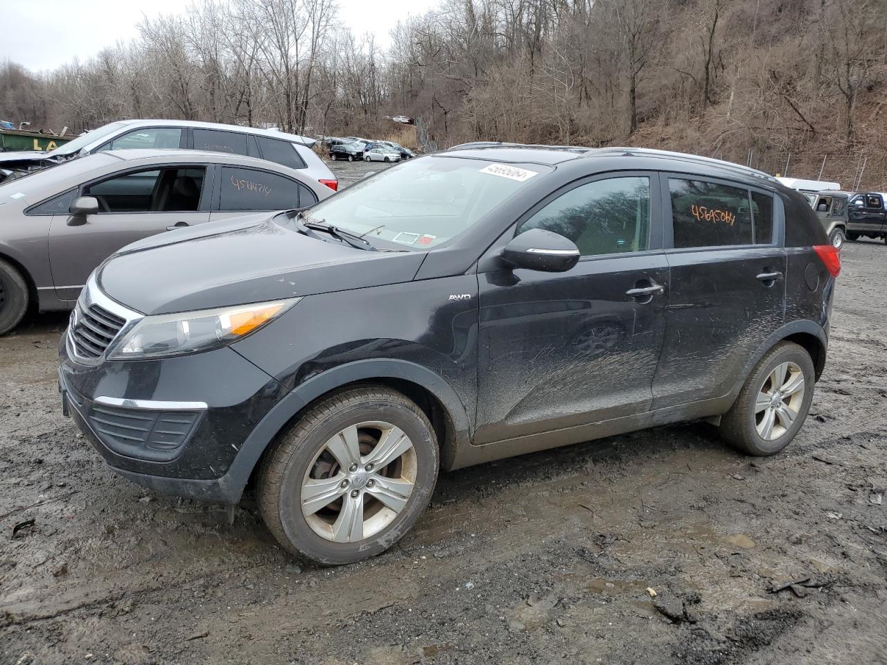 KIA SPORTAGE 2012 kndpbca28c7238281