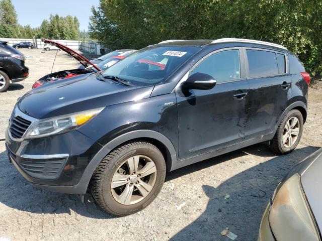 KIA SPORTAGE 2013 kndpbca28d7408625