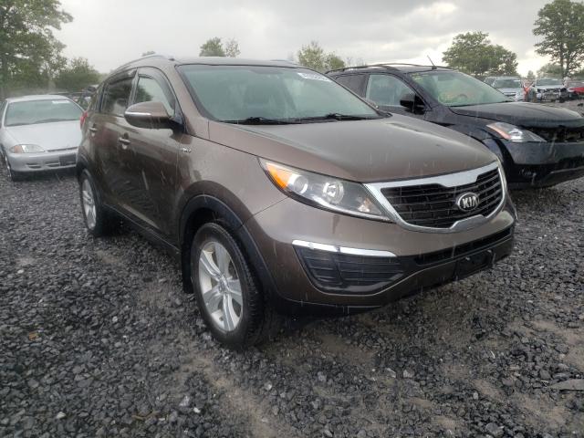 KIA SPORTAGE L 2013 kndpbca28d7431435