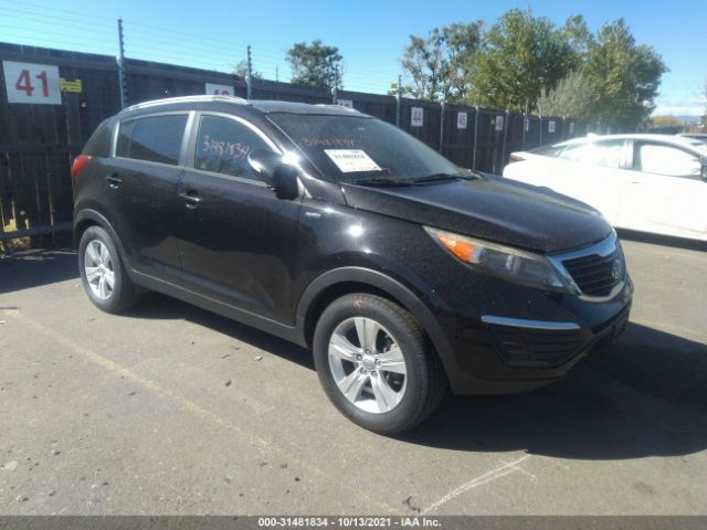 KIA SPORTAGE 2011 kndpbca29b7081679