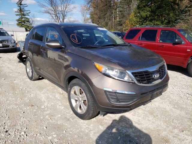 KIA SPORTAGE L 2013 kndpbca29d7487058