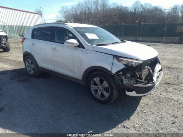 KIA SPORTAGE 2011 kndpbca2xb7031776