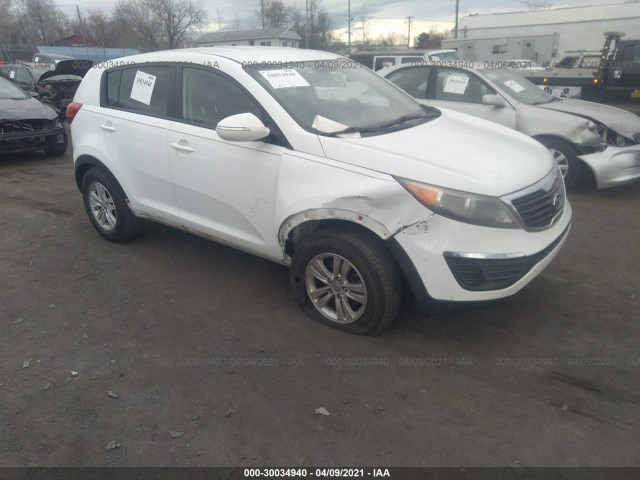 KIA SPORTAGE 2011 kndpbca2xb7076555