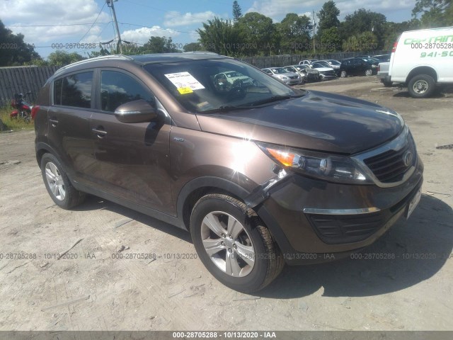 KIA SPORTAGE 2011 kndpbca2xb7079245