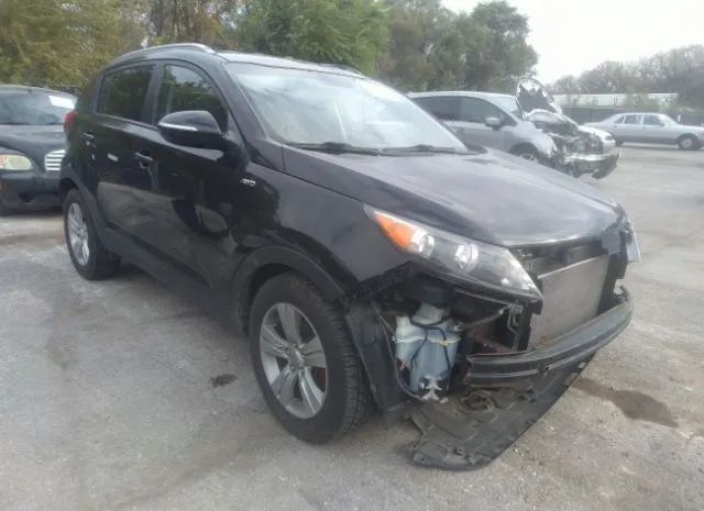 KIA SPORTAGE 2011 kndpbca2xb7087832