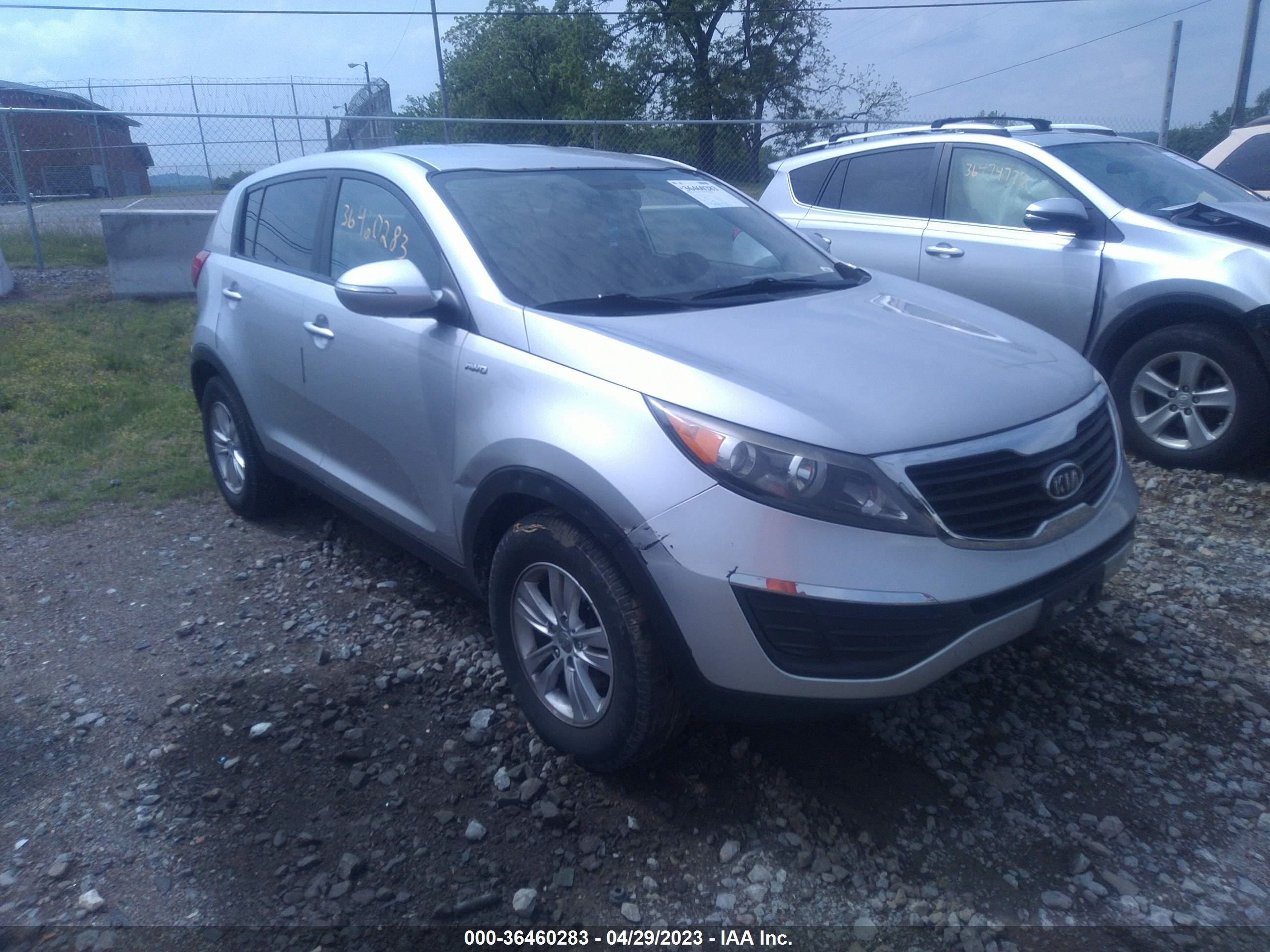 KIA SPORTAGE 2011 kndpbca2xb7113488