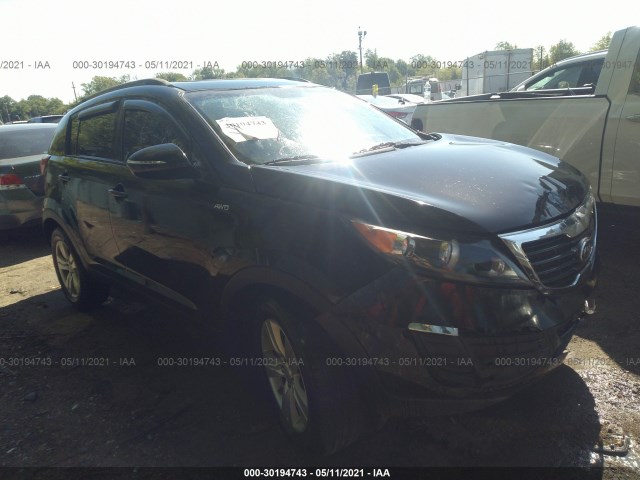 KIA SPORTAGE 2011 kndpbca2xb7168765