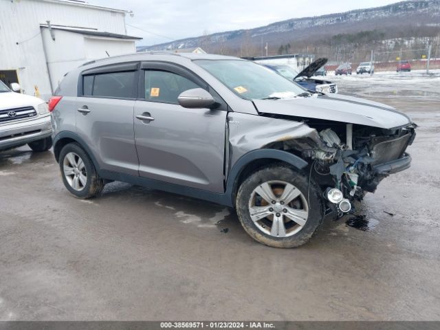 KIA SPORTAGE 2013 kndpbca2xd7475002