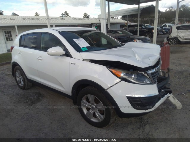 KIA SPORTAGE 2013 kndpbca2xd7517491