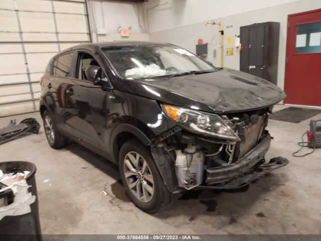 KIA SPORTAGE 2016 kndpbcac0g7879035