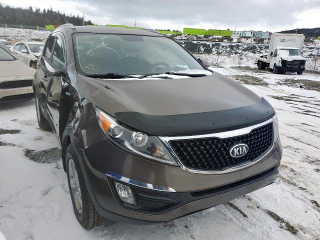 KIA SPORTAGE L 2014 kndpbcac1e7551300