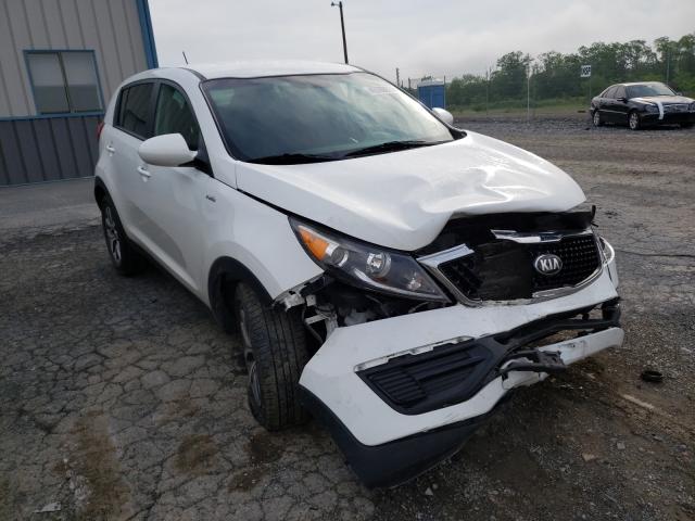 KIA SPORTAGE L 2016 kndpbcac1g7828269