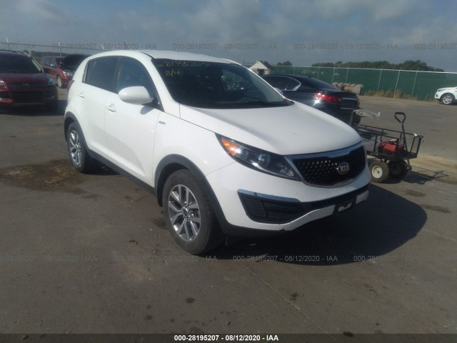 KIA SPORTAGE 2016 kndpbcac1g7836260